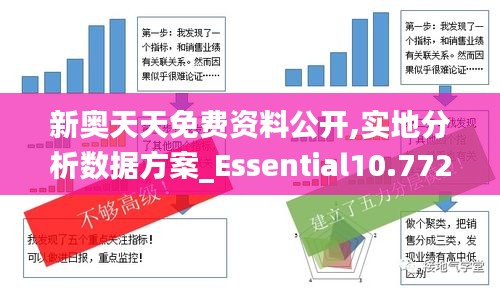 新奥天天免费资料公开,实地分析数据方案_Essential10.772
