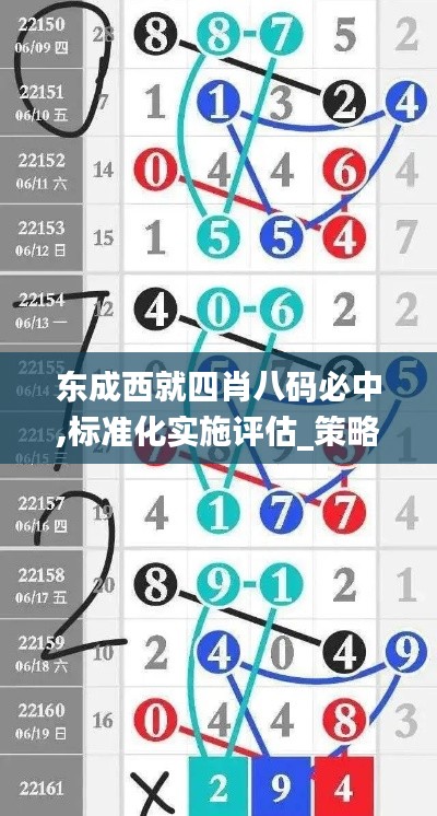 东成西就四肖八码必中,标准化实施评估_策略版7.823