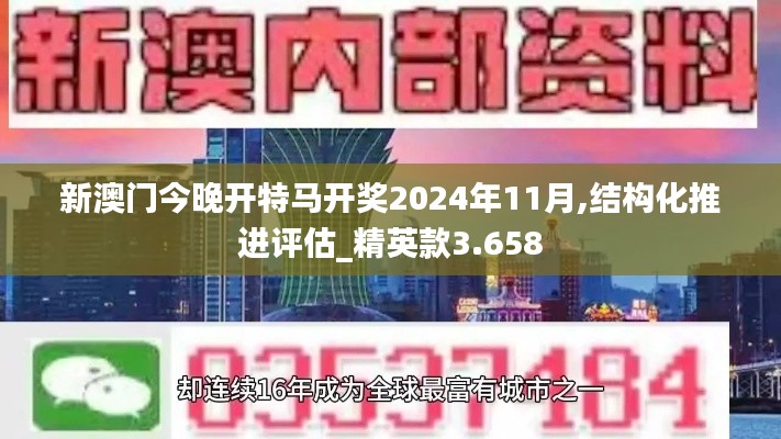 新澳门今晚开特马开奖2024年11月,结构化推进评估_精英款3.658