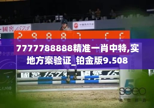 7777788888精准一肖中特,实地方案验证_铂金版9.508