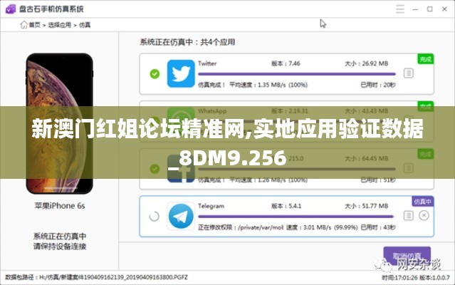 新澳门红姐论坛精准网,实地应用验证数据_8DM9.256