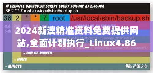 2024新澳精准资料免费提供网站,全面计划执行_Linux4.869