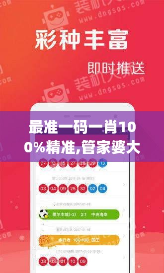 最准一码一肖100%精准,管家婆大小中特,完善的执行机制分析_Holo6.867