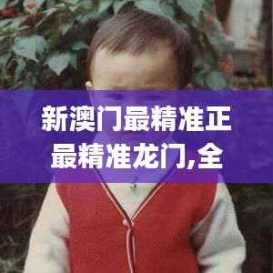 新澳门最精准正最精准龙门,全面实施分析数据_黄金版110.815