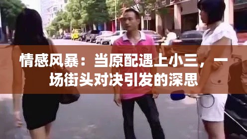 情感风暴：当原配遇上小三，一场街头对决引发的深思