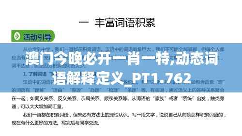 澳门今晚必开一肖一特,动态词语解释定义_PT1.762