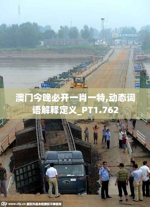 澳门今晚必开一肖一特,动态词语解释定义_PT1.762