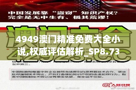 4949澳门精准免费大全小说,权威评估解析_SP8.737