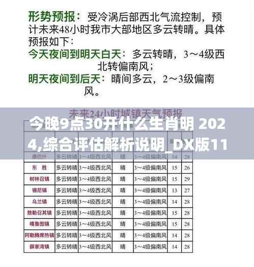 今晚9点30开什么生肖明 2024,综合评估解析说明_DX版11.703