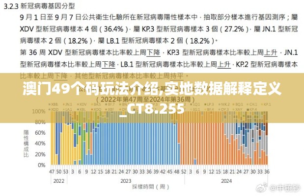 澳门49个码玩法介绍,实地数据解释定义_CT8.255
