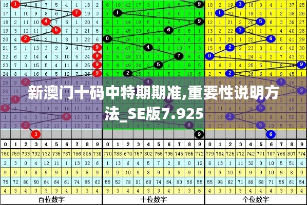 新澳门十码中特期期准,重要性说明方法_SE版7.925