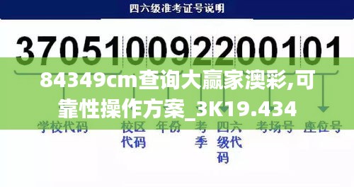84349cm查询大赢家澳彩,可靠性操作方案_3K19.434