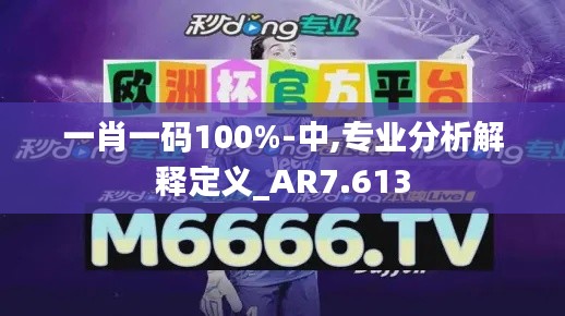 一肖一码100%-中,专业分析解释定义_AR7.613