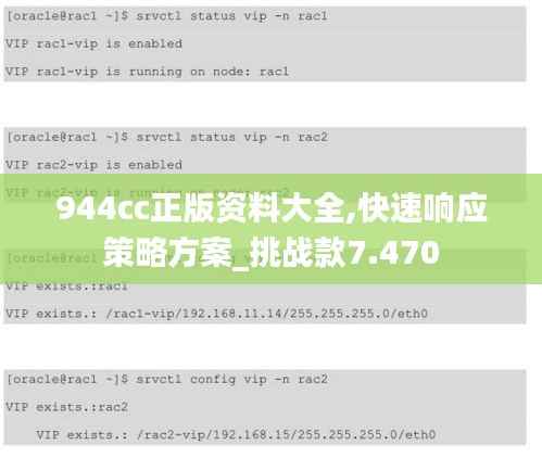 944cc正版资料大全,快速响应策略方案_挑战款7.470
