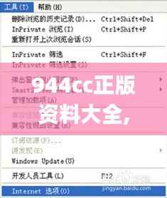 944cc正版资料大全,快速响应策略方案_挑战款7.470