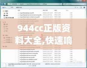 944cc正版资料大全,快速响应策略方案_挑战款7.470