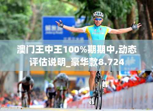 澳门王中王100%期期中,动态评估说明_豪华款8.724