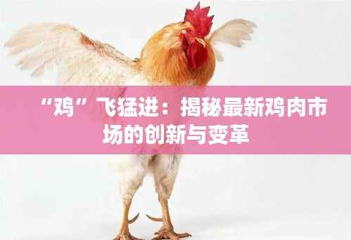 “鸡”飞猛进：揭秘最新鸡肉市场的创新与变革
