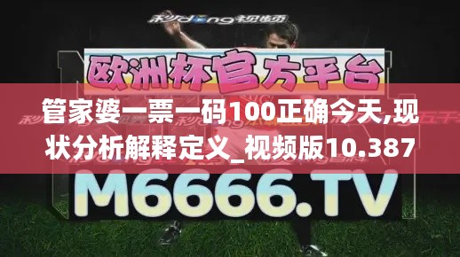 管家婆一票一码100正确今天,现状分析解释定义_视频版10.387