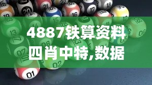 公司介绍 第367页