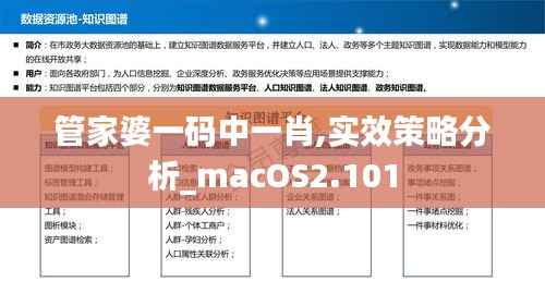 管家婆一码中一肖,实效策略分析_macOS2.101