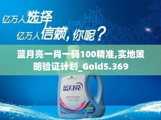 蓝月亮一肖一码100精准,实地策略验证计划_Gold5.369