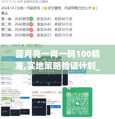 蓝月亮一肖一码100精准,实地策略验证计划_Gold5.369