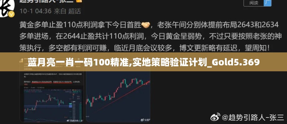 蓝月亮一肖一码100精准,实地策略验证计划_Gold5.369
