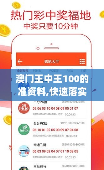 澳门王中王100的准资料,快速落实方案响应_特供版17.556