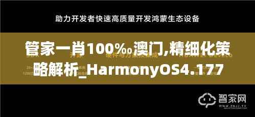 管家一肖100‰澳门,精细化策略解析_HarmonyOS4.177