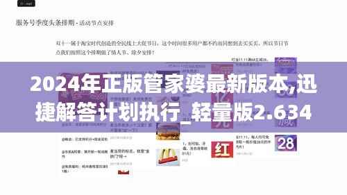 2024年正版管家婆最新版本,迅捷解答计划执行_轻量版2.634
