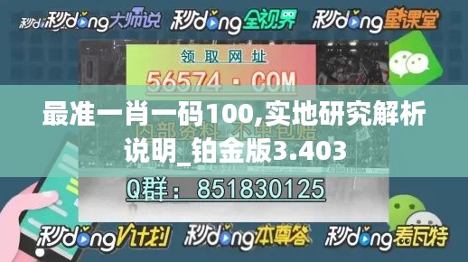 最准一肖一码100,实地研究解析说明_铂金版3.403