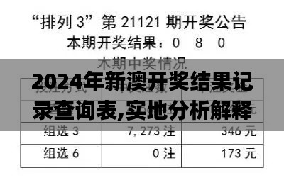 2024年新澳开奖结果记录查询表,实地分析解释定义_7DM13.558