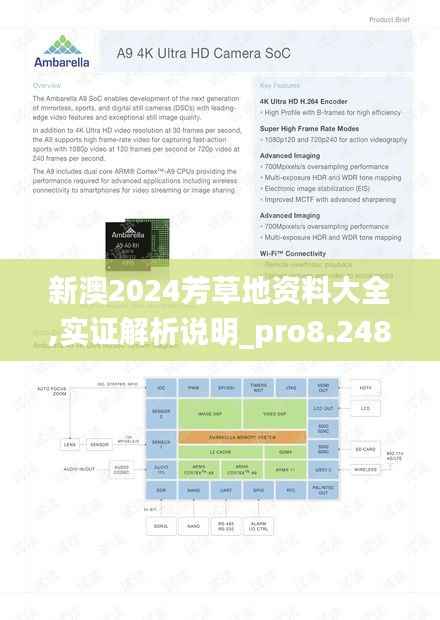新澳2024芳草地资料大全,实证解析说明_pro8.248
