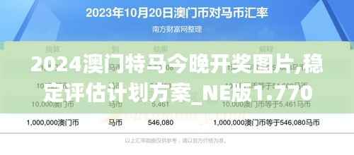 2024澳门特马今晚开奖图片,稳定评估计划方案_NE版1.770