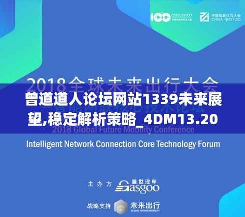 曾道道人论坛网站1339未来展望,稳定解析策略_4DM13.205