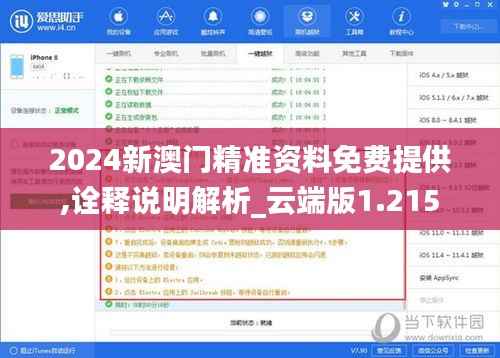 2024新澳门精准资料免费提供,诠释说明解析_云端版1.215