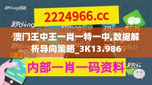 澳门王中王一肖一特一中,数据解析导向策略_3K13.986