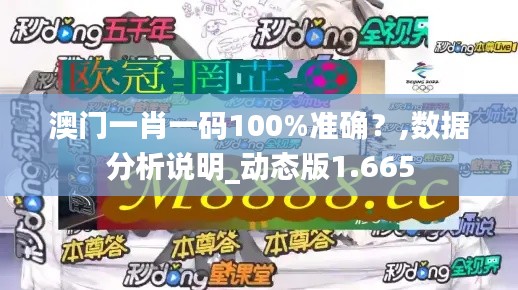 澳门一肖一码100%准确？,数据分析说明_动态版1.665