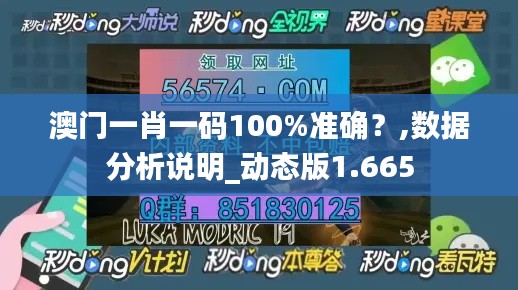 澳门一肖一码100%准确?,数据分析说明_动态版1.665