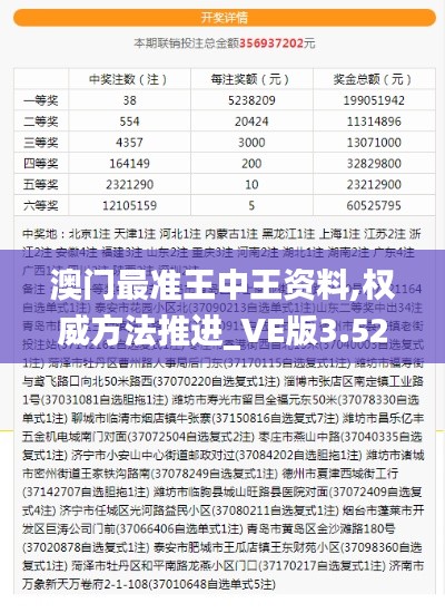 澳门最准王中王资料,权威方法推进_VE版3.523