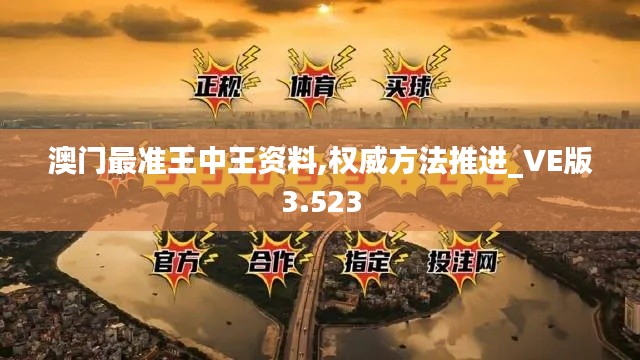 澳门最准王中王资料,权威方法推进_VE版3.523