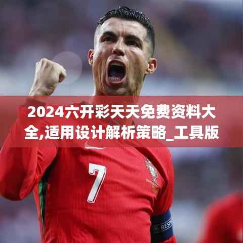 2024六开彩天天免费资料大全,适用设计解析策略_工具版2.428