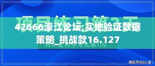 42666濠江论坛,实地验证数据策略_挑战款16.127
