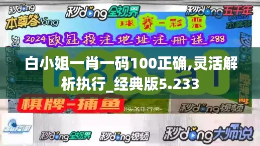 白小姐一肖一码100正确,灵活解析执行_经典版5.233