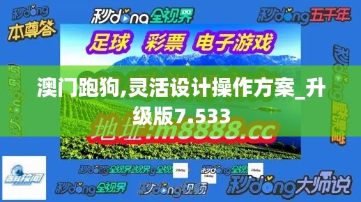 澳门跑狗,灵活设计操作方案_升级版7.533