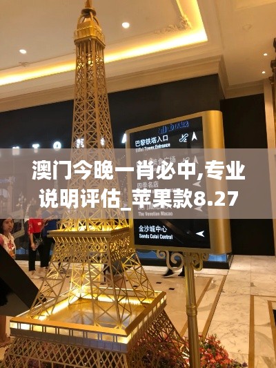 澳门今晚一肖必中,专业说明评估_苹果款8.270