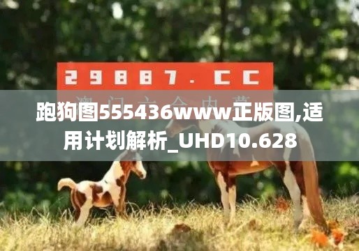 跑狗图555436www正版图,适用计划解析_UHD10.628