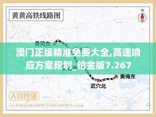 澳门正版精准免费大全,高速响应方案规划_铂金版7.267