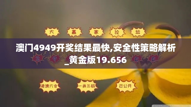 澳门4949开奖结果最快,安全性策略解析_黄金版19.656